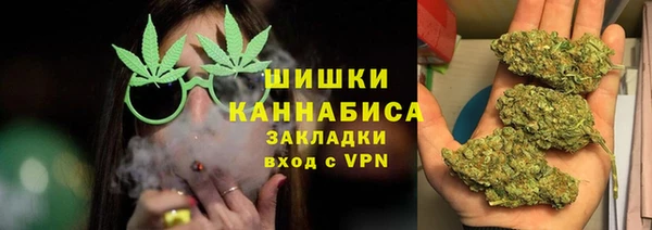 шишки Белокуриха