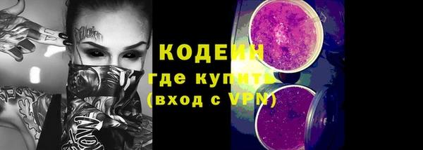 шишки Белокуриха