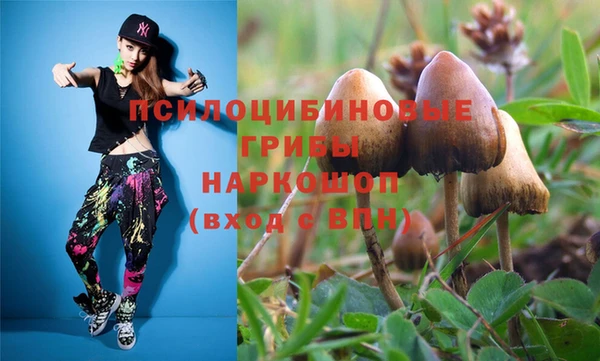 гидра Балахна