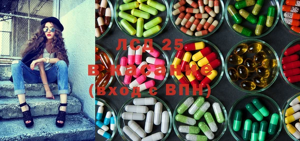 шишки Белокуриха