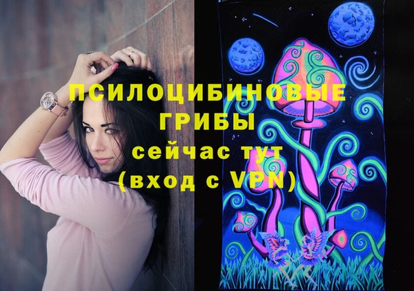шишки Белокуриха